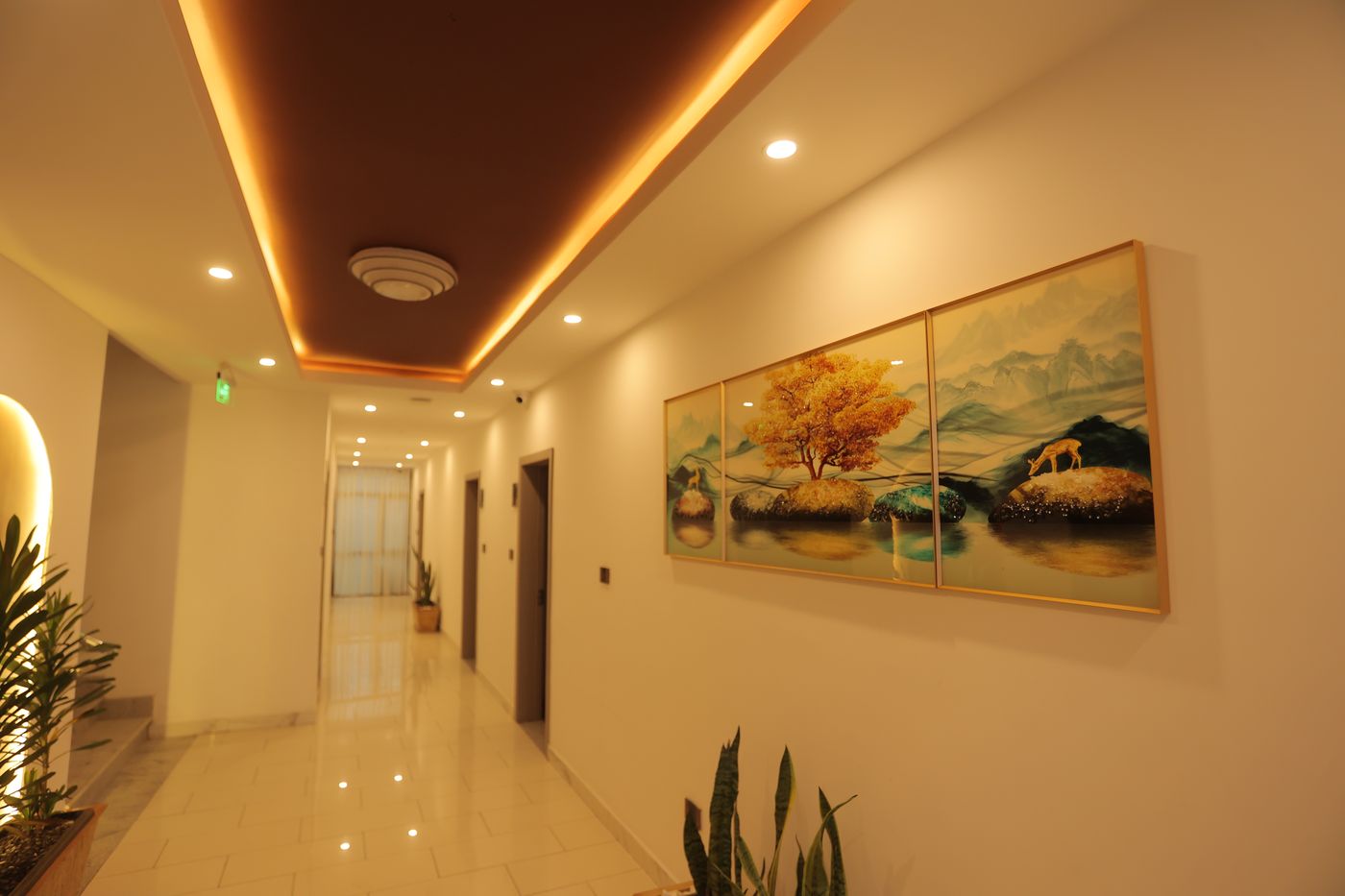 Guest floor corridor with artwork at Dinapoli Hotel